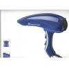 Champion Hair Dryer